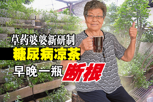 宅心仁厚的草药婆婆,独自研制出治疗糖尿病的草药凉茶,不但医好母亲的糖尿病,亦使一名病人的糖尿指数恢复正常。