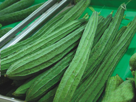 丝瓜在众多瓜类食物中属于营养较为丰富的一种。