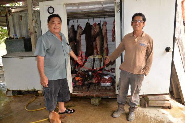 来自打猎世家的郑纪荣（左）和郑纪权，一打开冰箱，里面是满满的战利品，但由于售卖山猪肉需获准证，因此他们只能把肉送给亲友分享。