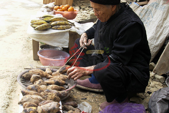 除了玉米粥、蔬菜,蕃薯和红薯亦是巴马长寿村人主要的粮食。