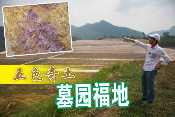 陈董表示，这片土地不但有五色奇土，还有罕见的紫色“护龙土”（小图），因此他每次来到这里，总觉得精神饱满。