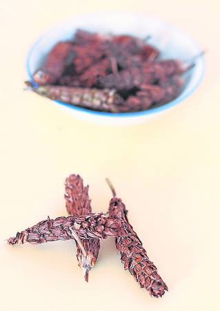 夏枯草,很多人都知道这是清热去火的中草药,但其实它还有很多的功效,如降血压、妇女产后补身、止血,甚至对于夜盲症也有一定疗效。