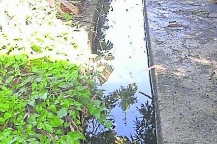 污水无法妥善的处理,久而久之形成一股秽气,而影响屋主的健康。