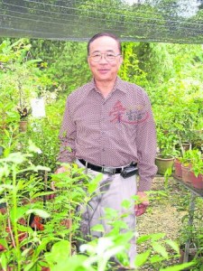 中医师:程顺章