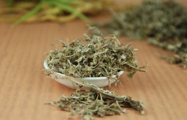 北子草除了具有清热、生津止渴的功效之外,它还能解毒,当你喝下后,若夜里出现腹痛,甚至是肛门出现刺痛感,这就表示你体内囤积太多毒素了。