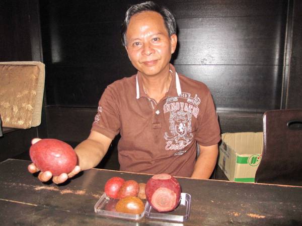 张志健表示为了确保顾客购买到纯正的箭猪枣，他本人都亲赴印尼寻枣。