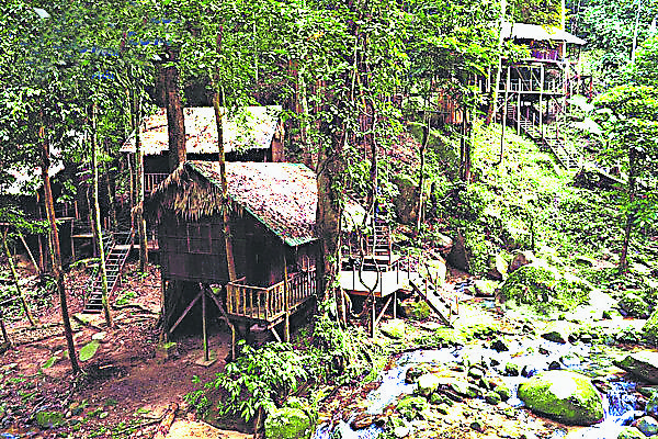 晚上可以在柏隆雨林渡假村内租一间马来高脚屋休息。
