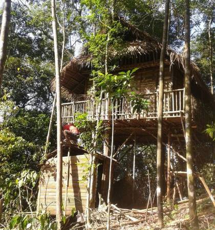 这里的住宿都是由树木与竹子搭建而成的,只要住上一晚就会深深的爱上它。