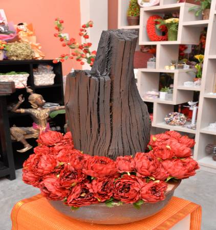 黑金净化居家空气 新生活报 Ilifepost爱生活