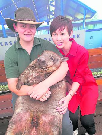 Caversham Wildlife Park 里遇见许多野生小动物，除了人见人爱的树熊，还有珍贵的袋熊(Wombat)。