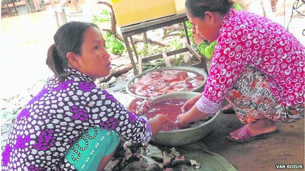 生意剧增：越南商人在柬埔寨边境购买田鼠，这是一盘日益蓬勃的生意。 
