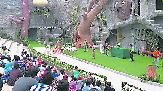 假日期间，园内还有表演节目让旅人们欣赏。
