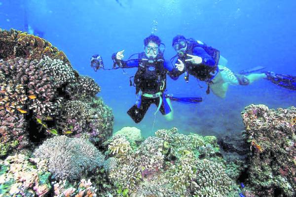 海底美丽的珊瑚礁，招唤着每个潜入海底遨游者。