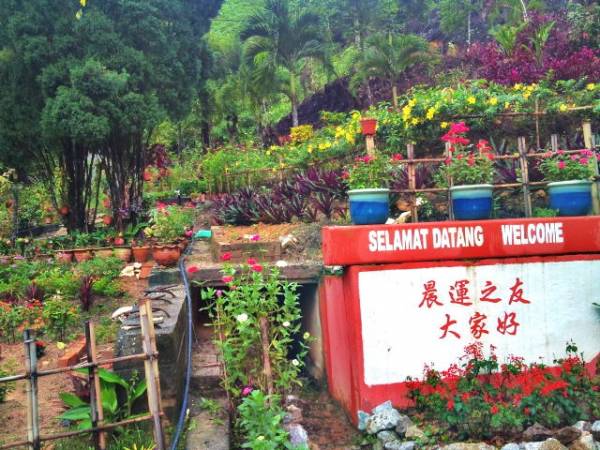怡保万里望升旗山途中，还可欣赏花圃内的花儿，洗冲一下疲惫，让你再继续往上爬。 万里望升旗山 Jalan Kledang, Menglembu, 31450 Ipoh, Perak.
