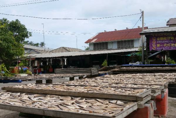 新鲜美味的海鲜、一排排晾晒的咸鱼，仿佛是每个渔村的写照。