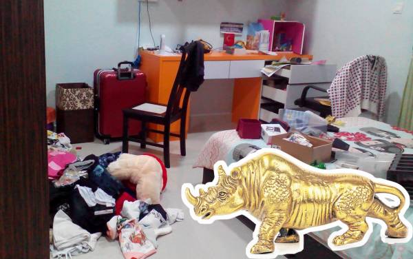治安不靖罪案频传,担心家居安全的读者可以在大门前摆放一只犀牛,头要向着西方,摆在桌上或地上皆可,让犀牛为你守门防贼。