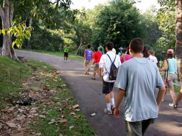 早晨，南峇山吸引了很多人到来晨运。