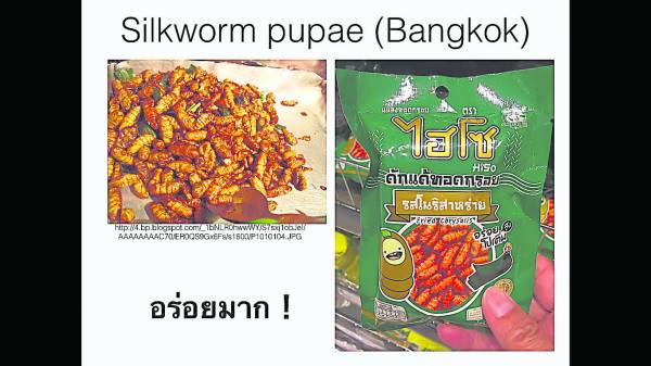 泰国出产的昆虫零食,你吃过吗?
