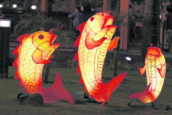 越南传说以往有鲤鱼精，于是需要挂鲤鱼灯笼驱走妖精，带来好兆头。