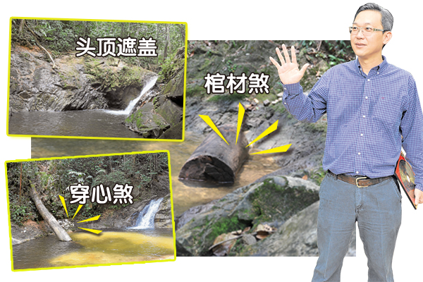 林诗评师进入“瀑布黑区”后,不但发现“凶蛇煞”埋伏,这里的树木不但像蛇一直缠绕着游客,水潭格局更是一层比一层阴森、可怕……