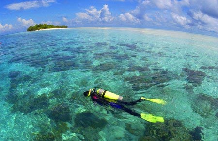 这里是潜水胜地，只要下海便能清楚地看见海洋生物。