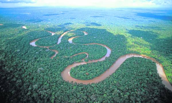 在亚马逊河流域，在丛林和水流之间，潜伏着许许多多危险，除了毒蛇猛兽和鳄鱼之外，还有食人族、食人鱼、食人花等等。所以在亚马逊河流域考察探险，可谓是九死一生……