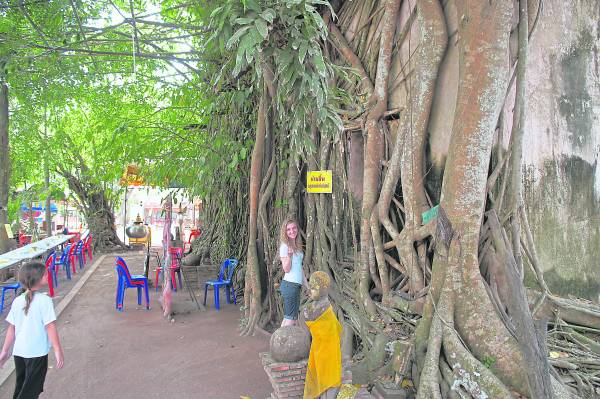 300年的树根，让庙宇的门口隐藏起来，难以发觉。