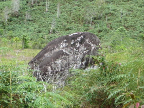 这块石头原来是巨石文化之一 。