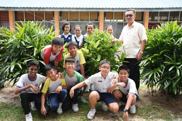 新咖啡山华小也善用空地,在校园里种植了10棵咖啡树。