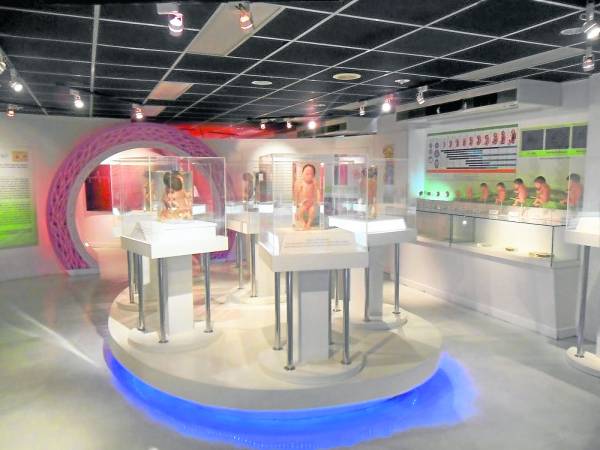 泰国这间“死亡博物馆”，专门展示各种死亡状态的人体干尸，如果不够大胆，最好不要冒然尝试了…… 
