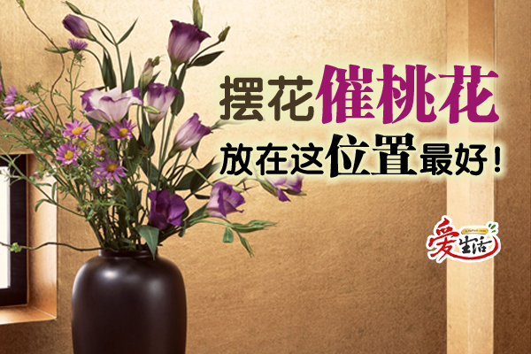 摆花催桃花放在这位置最好 新生活报 Ilifepost爱生活 摆花催桃花放在这位置最好 新生活报 Ilifepost爱生活