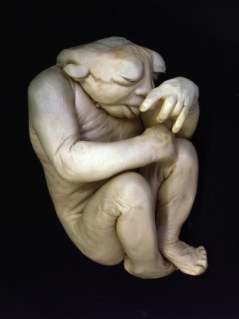 20年前，库巴唐有数十个没有脑子的婴儿出世，使它得到了“死亡之谷”的称号。 