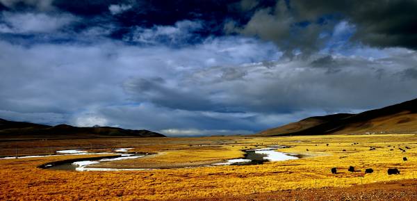 在西藏北部的“无人区”羌塘，是一个风景壮丽，但是天气变幻莫测的地方。