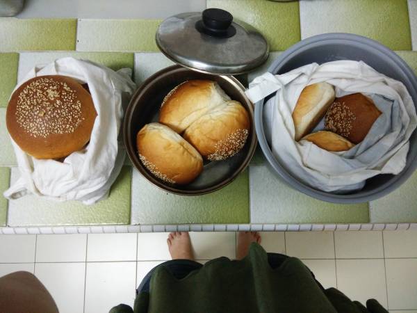 回到家后我将面包分类处理:(右起)储存在电饭锅内胆,放在室温,最好在两三天内吃完;放在汤锅里,送进冰箱的冷藏,一个礼拜内吃完;放进布袋,冷冻起来,一个月内吃完。