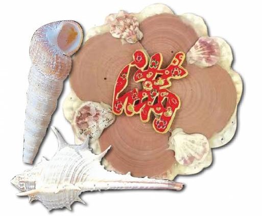 刺螺和锥螺摆在家不但会招惹小人，更会聚阴，而扇贝类的贝壳则是聚财、守财的象征。