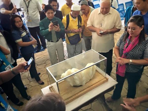 “公主港之珠”在公主港市(Puerto Princesa)观光局公开展示,市政府计划建立“珍珠博物馆”。