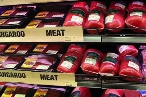 在澳洲，袋鼠肉比牛肉略便宜，许多人认为吃袋鼠肉更环保，而且超市和餐馆都有袋鼠肉可吃。 