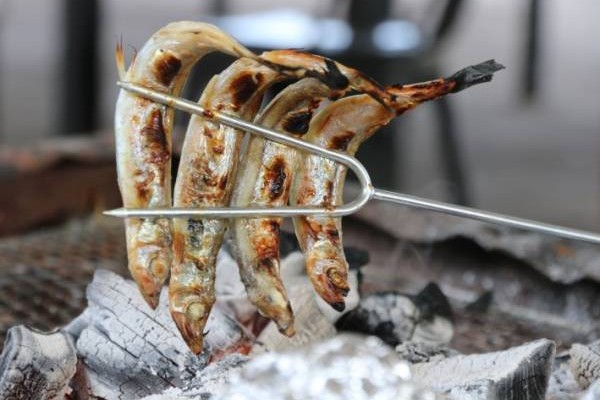 烧多春鱼的话，可以直接将鱼放在收窄了的烧烤叉上面烧。