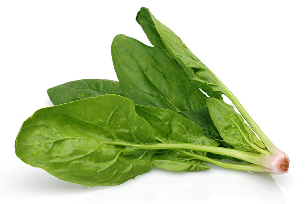 Bunch of fresh spinach