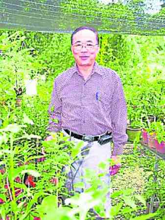 程顺章医师表示,“落地生根的黏液有助于消炎、消毒、消肿,对治疗皮肤烧伤、烫伤有非常好的治疗效用!