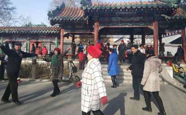 中国许多长者在菖蒲河公园跳舞聊天打发时间，也顺便找对象。 