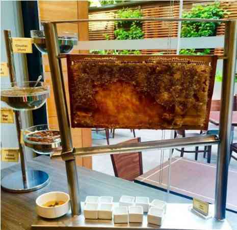 这间酒店的自助早餐提供超新鲜的蜂蜜。
