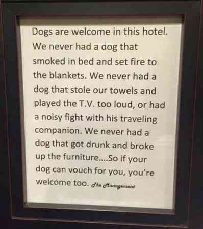 这间酒店对于宠物有特殊政策。