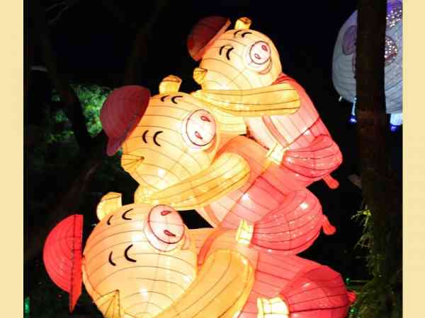 佛光山东禅寺今年平安灯会有3只三好小猪，向民众欢喜问好。
