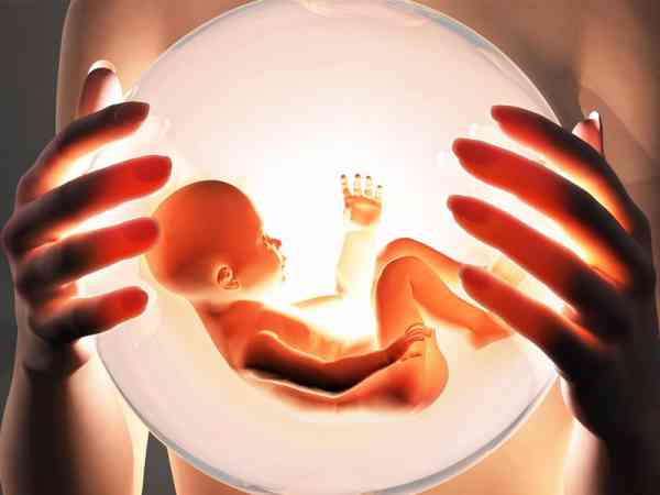 宝宝在肚子里的胎内记忆，是许多母亲最想解开的谜团。