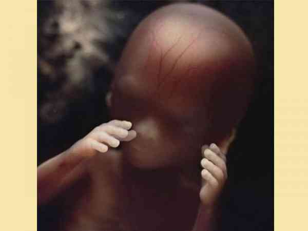 到了16周时，胎儿开始会用双手摸摸自已的身体，和探索周边环境。 