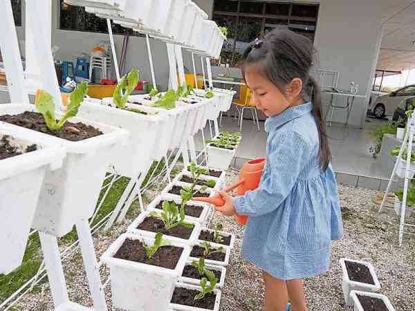 这类种植法十分简单，父母还可让小孩体验栽种的乐趣。