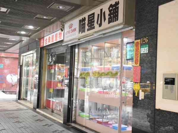台湾的光復南路堪称为“宠物街”,只要有关于宠物的都能找得到!