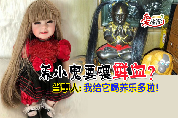 养小鬼要喂鲜血 当事人 我给它喝养乐多啦 新生活报 Ilifepost爱生活 养小鬼要喂鲜血 当事人 我给它喝养乐多啦 新生活报 Ilifepost爱生活