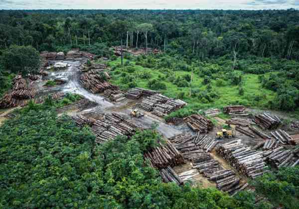 世界十大最危险雨林图片